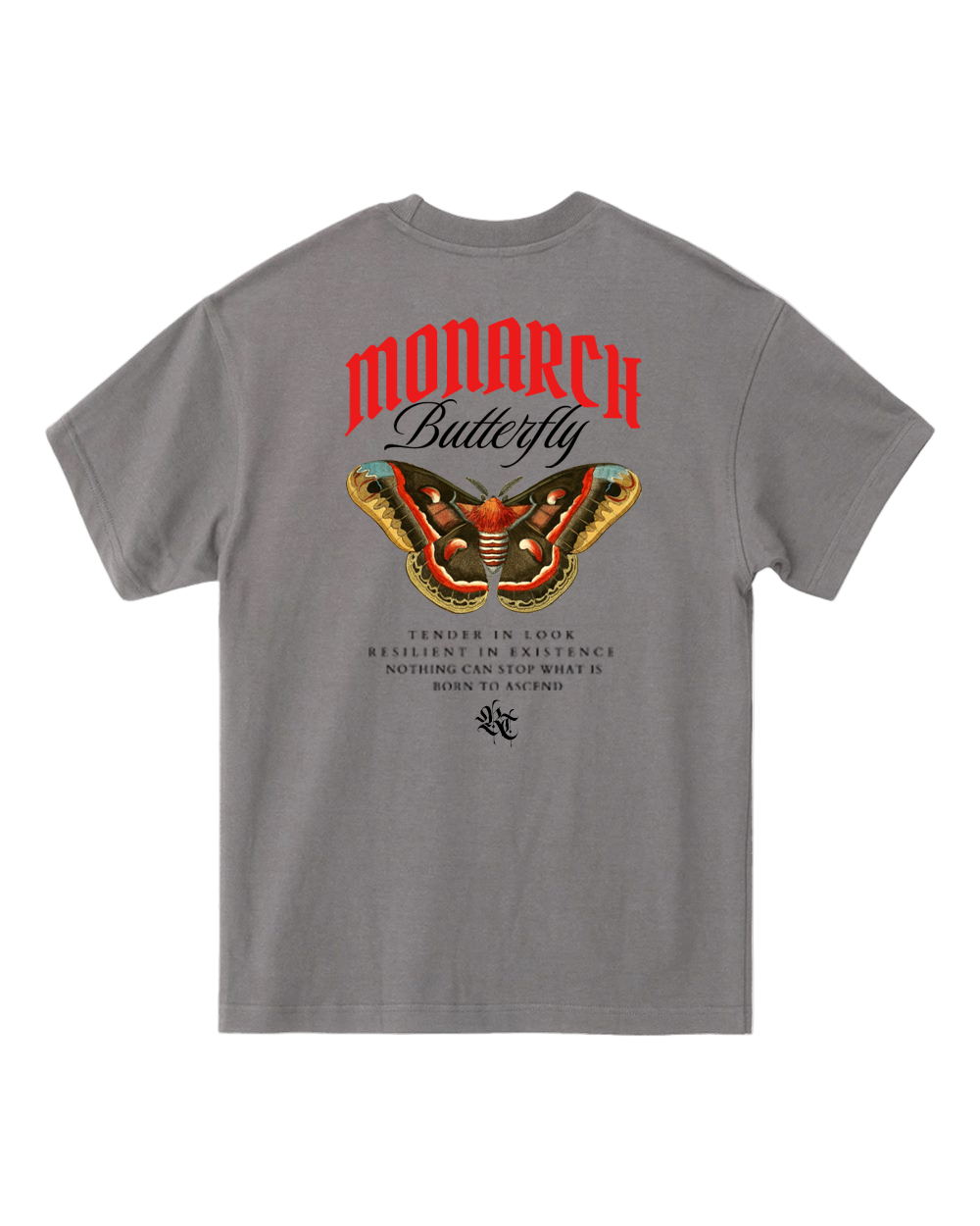 Born to Ascend Oversized Tee New