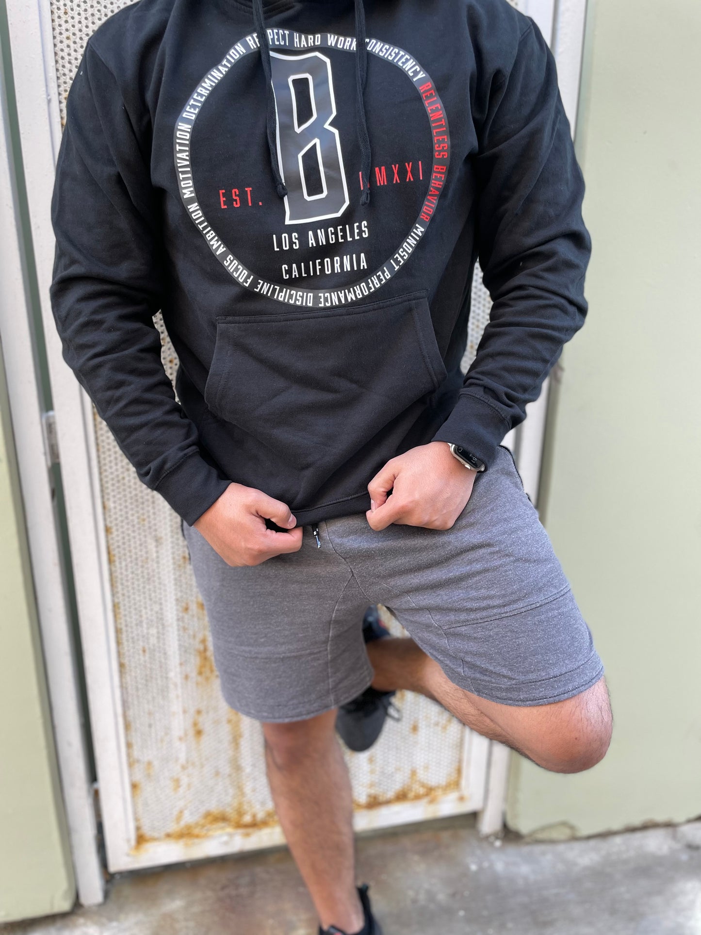 Los Angeles HOODIE